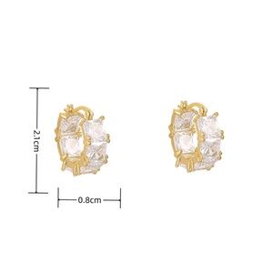 Elegant Gold Hoop Earrings